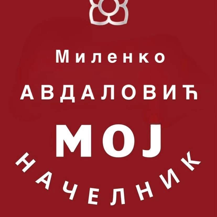 SNSD Nevesinje Logo