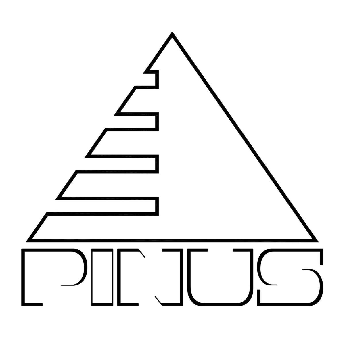 Pinus doo Logo