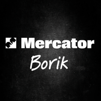 Mercator Borik Logo