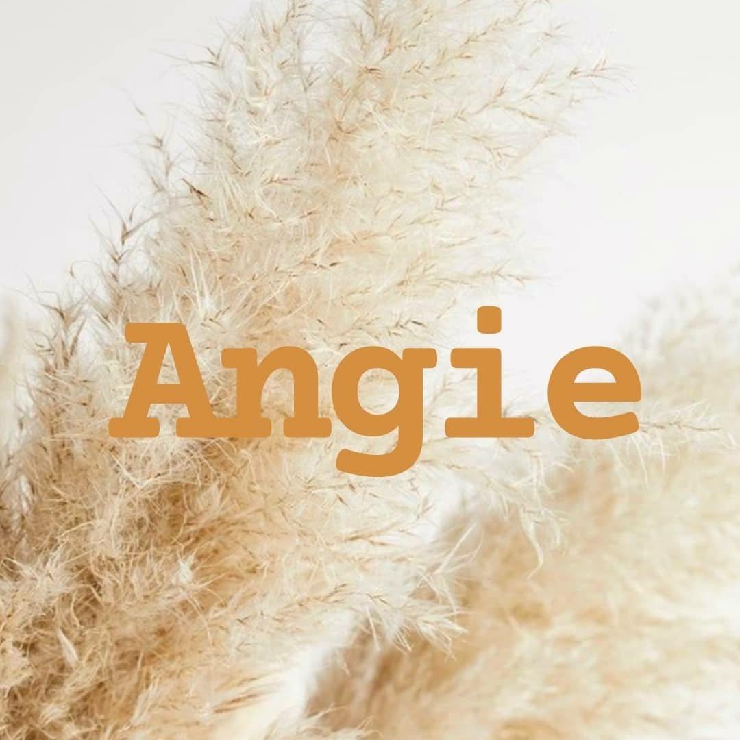 Frizerski Salon "Angie" Logo