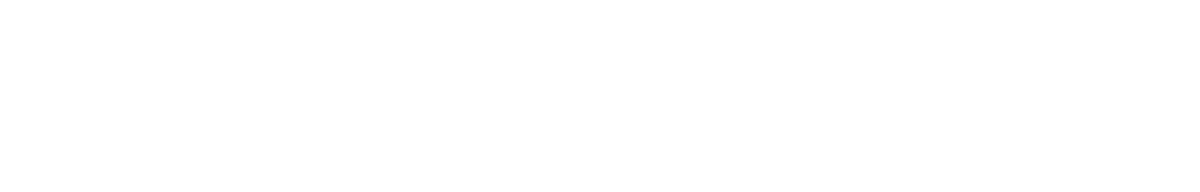 Salon Nostro Logo