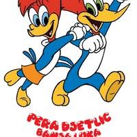 Drvene igračke Pera Djetlić Logo