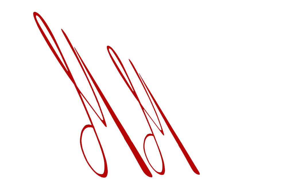 Advokat Mirza Mušinbegović Logo