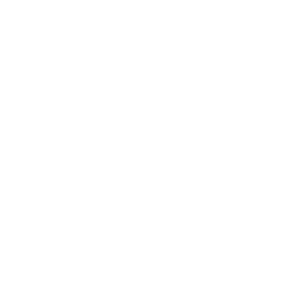 Paramount Property Managment Logo