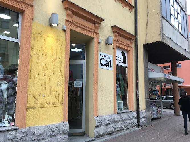 Butik Cat Logo