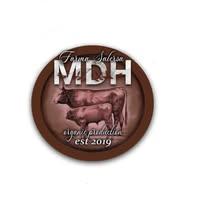 Farma MDH Logo