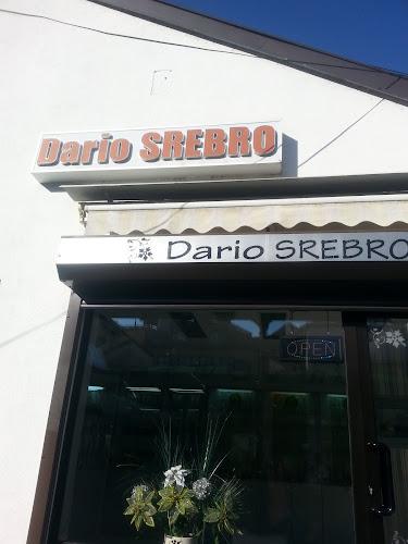 Dario Srebro Logo