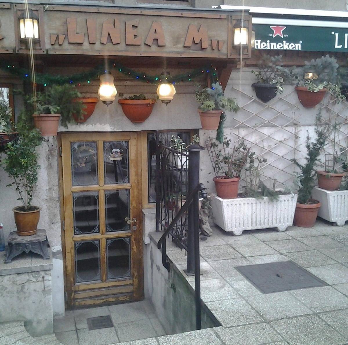 Linea M Logo