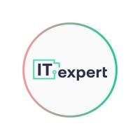 IT Expert Logo